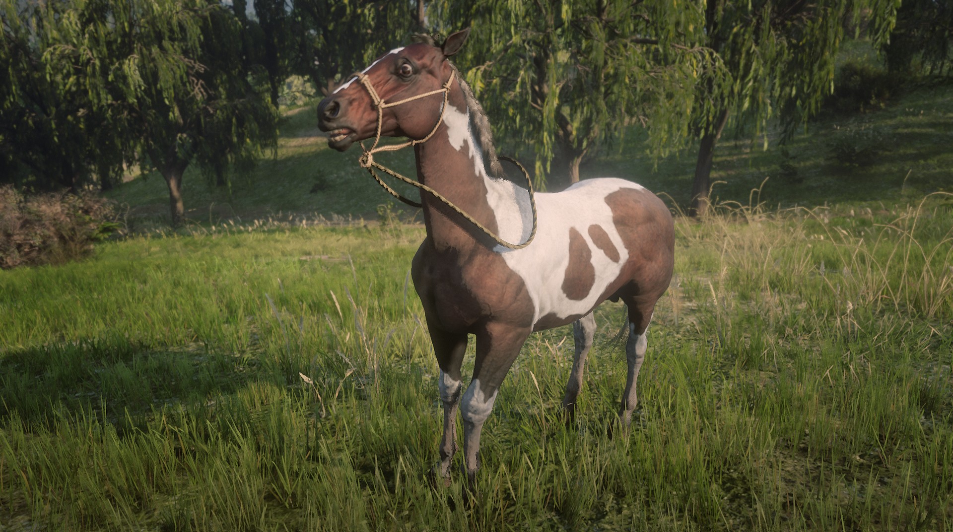 American Paint RED DEAD REDEMPTION 2 情報&攻略 wiki RDR2 atwiki（アットウィキ）